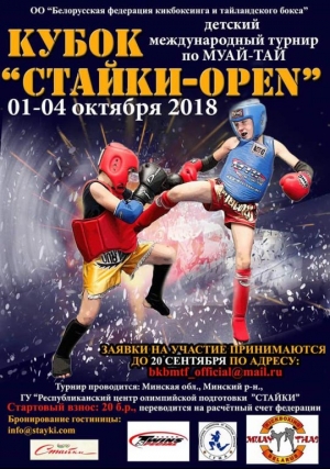 МЕЖДУНАРОДНЫЙ ТУРНИР КУБОК &quot;СТАЙКИ-OPEN&quot;.