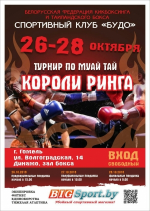 ТУРНИР &quot;КОРОЛИ РИНГА&quot;.